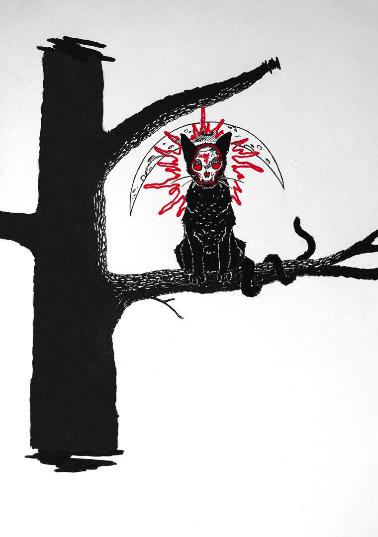 Chat Bizarre [Juillet 2022]