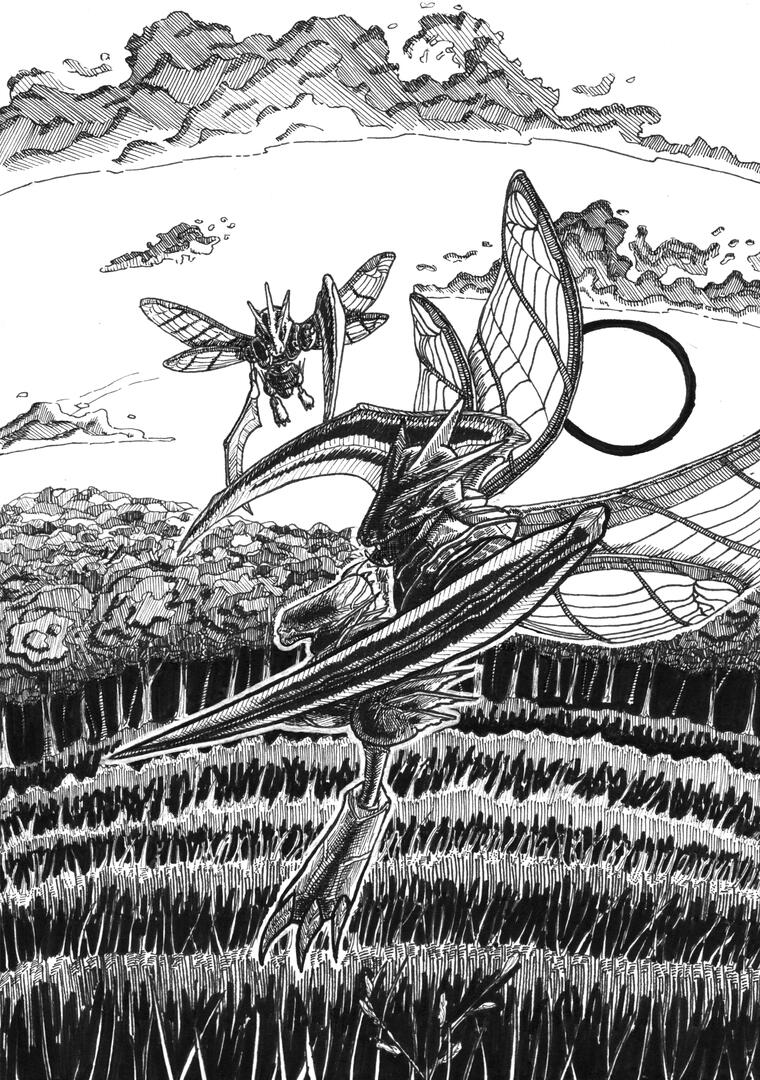 Insécateur [août 2023]