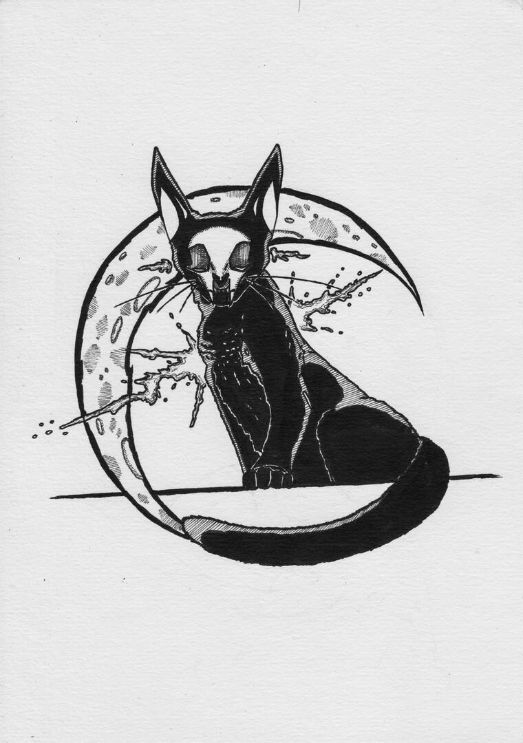 Chat bizarre 2 [Octobre] 2022]