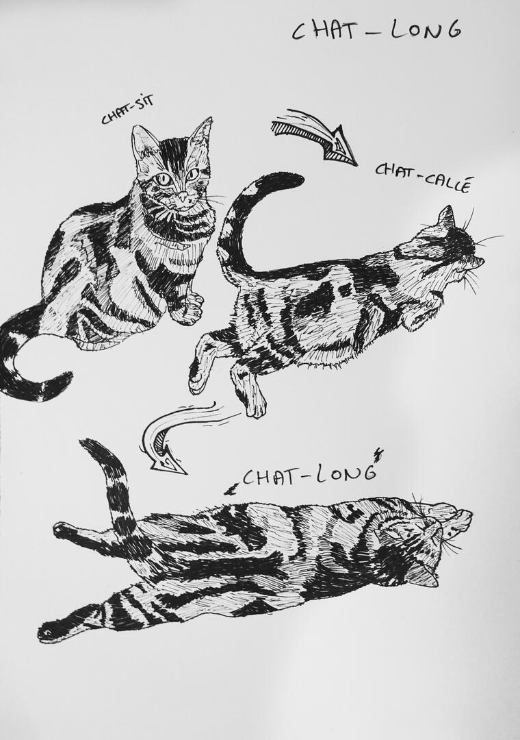 Chat-long [Juillet 2022]